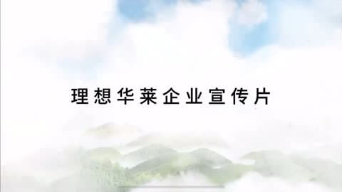 市工业智能化推进中心主任