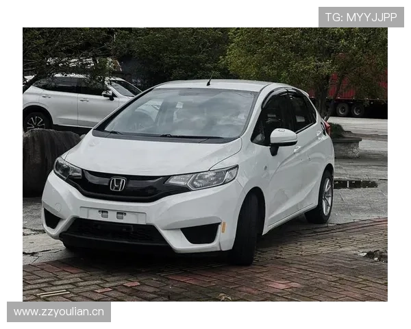 10万元级两厢车首选，是否还是TA？_动力试驾·广汽本田新飞度