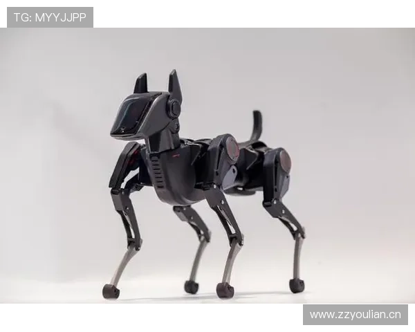 1299美元!重庆哮天Sirius智能机器狗开启全球预售 1299美元!重庆哮天Sirius智能机器狗开启全球预售